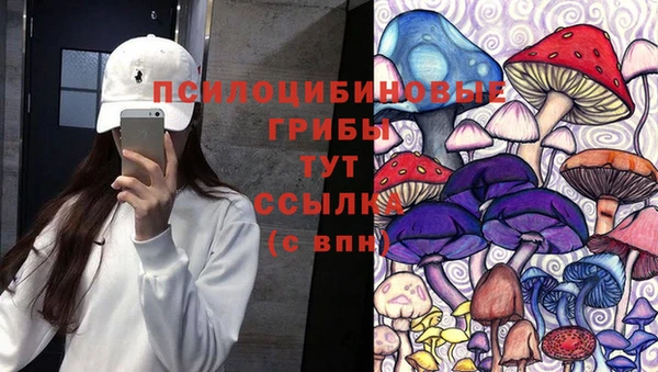прущие крисы Алексин