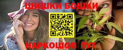 МДПВ Новодвинск