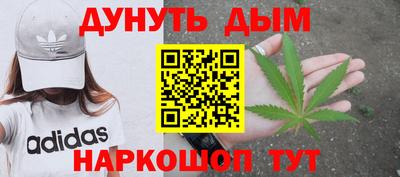 МДПВ Новодвинск