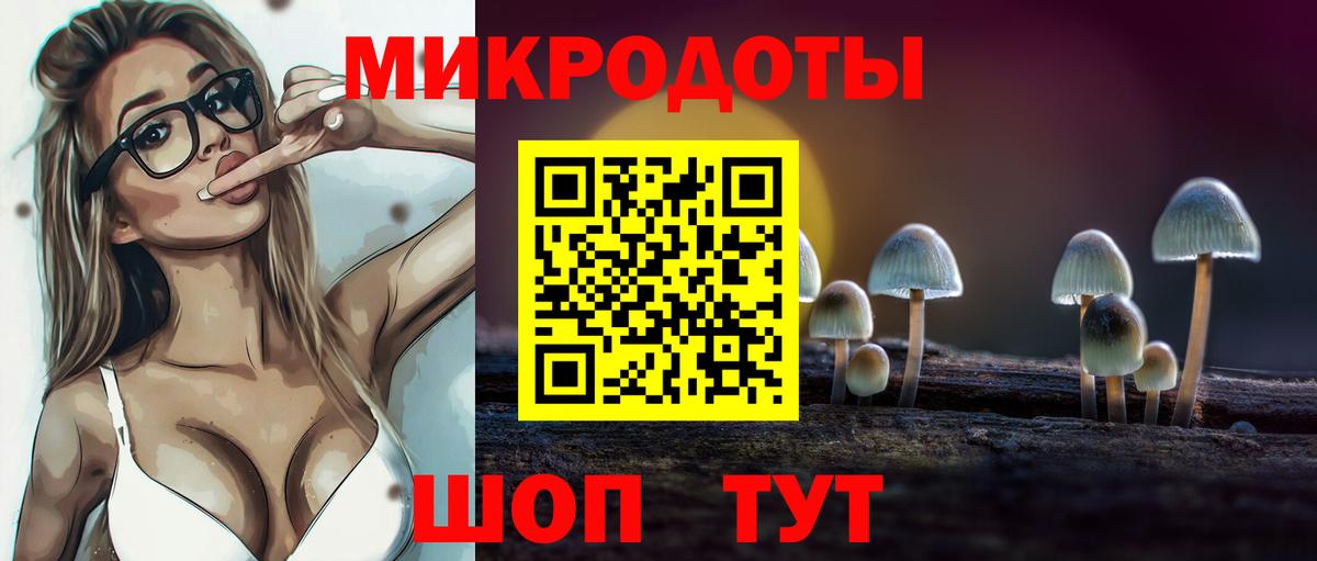 Псилоцибиновые грибы Cubensis  Вход с VPN  Чайковский 